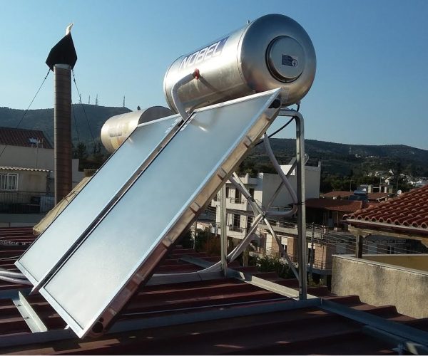 ηλιακό περιστέρι 1